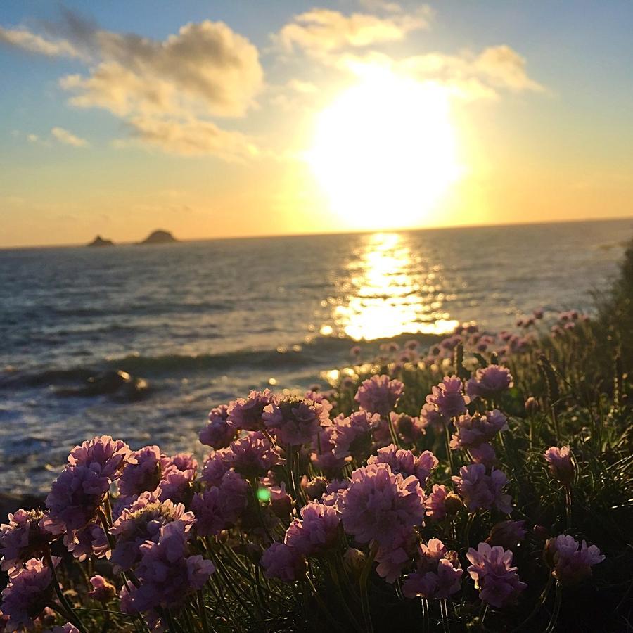 סנט ג'אסט Roselands Caravan Park, Nr Lands End, Cornwall מראה חיצוני תמונה